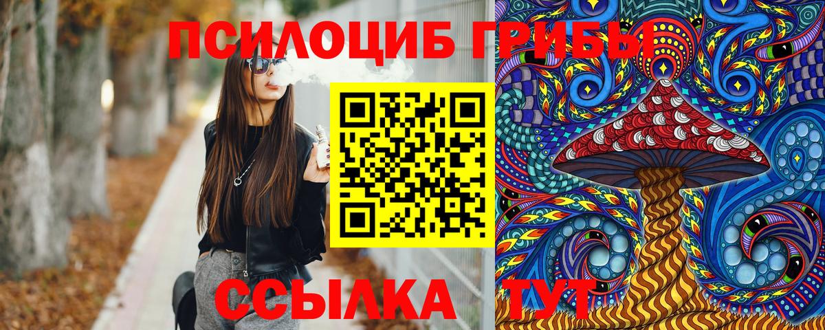 Псилоцибиновые грибы мицелий Богородск